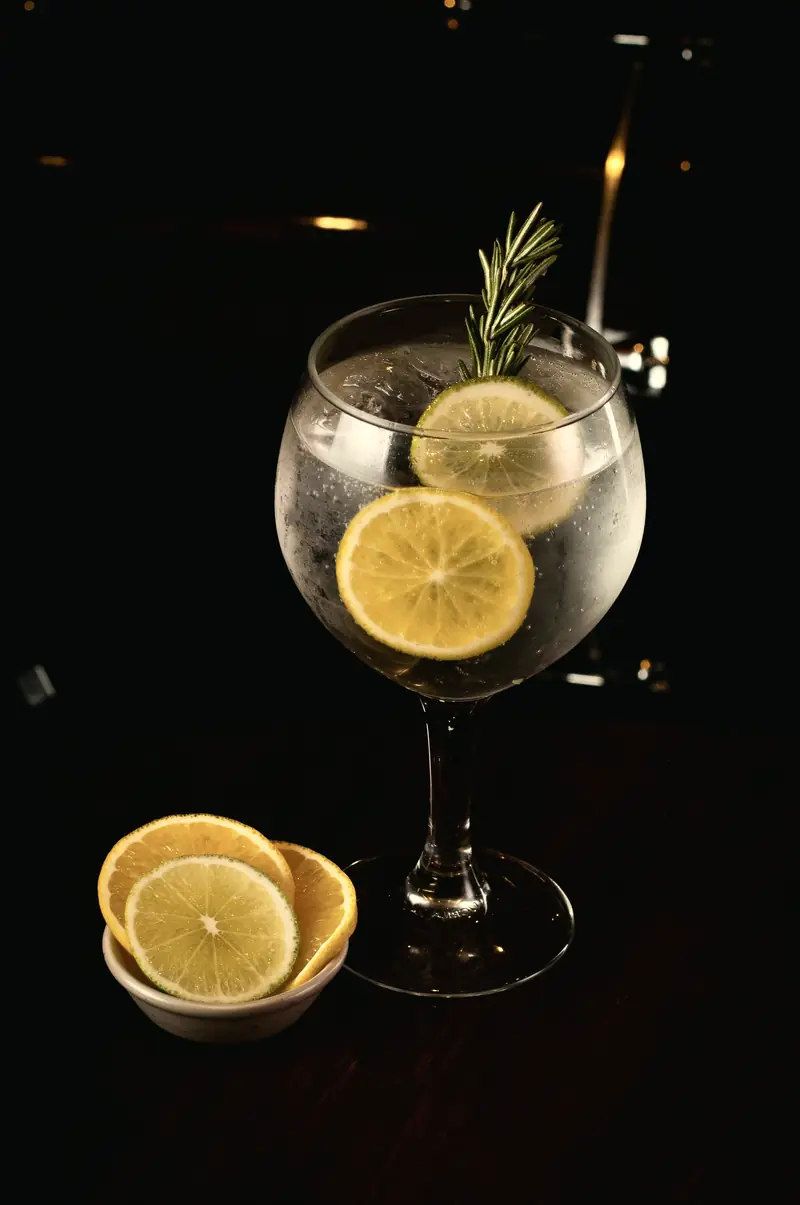 Gin tônica com rodelas de limão e ramo de alecrim em taça balão