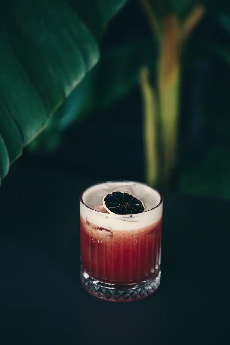 Drink vermelho de hibisco com gelo em copo baixo diante de folhagem verde